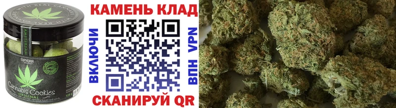 купить наркотик  OMG зеркало  Canna-Cookies марихуана  Скопин 