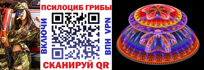 дарнет шоп  Скопин  Галлюциногенные грибы Psilocybe 