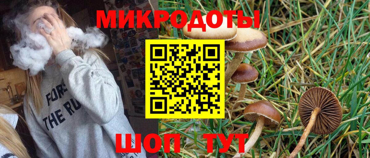 Псилоцибиновые грибы MAGIC MUSHROOMS Скопин