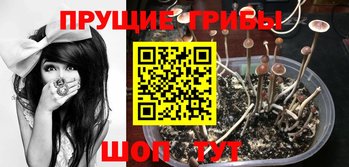Псилоцибиновые грибы мицелий  Галлюциногенные грибы Cubensis  Вход с VPN  Скопин 